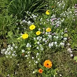 Hof Kleeberg * 메헬렌