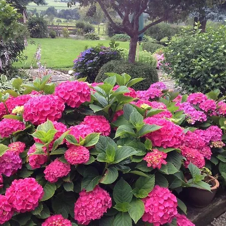 Hof Kleeberg Ξενοδοχείο