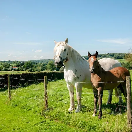Hof Kleeberg Ξενοδοχείο Μεσελέν