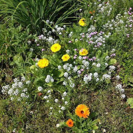 Hof Kleeberg * Malinas