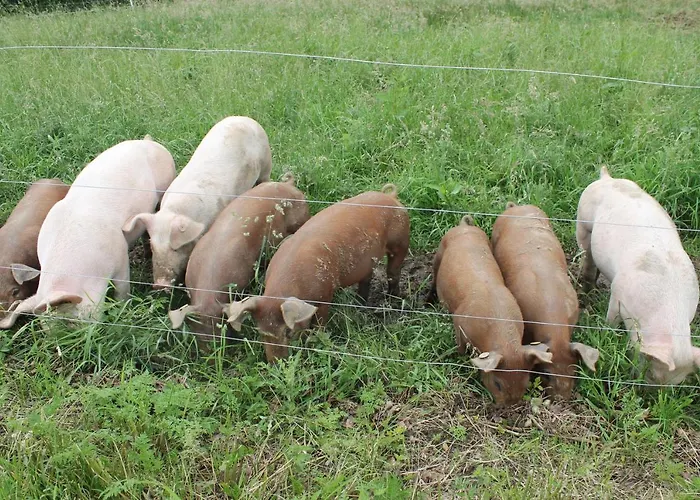 Отель Hof Kleeberg