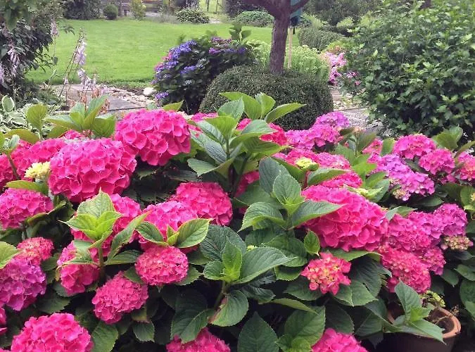 Hof Kleeberg فندق