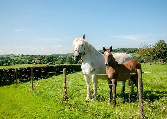 Hof Kleeberg Отель Мехелен
