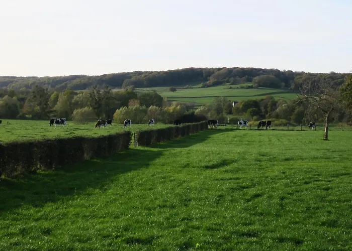 Отель Hof Kleeberg Мехелен