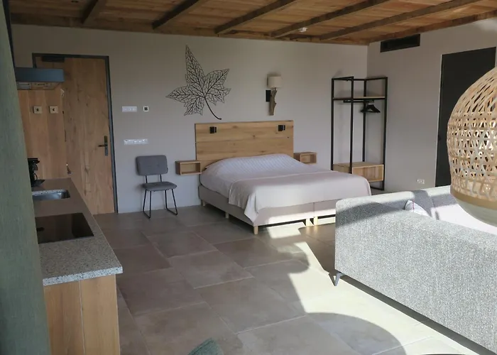 Hof Kleeberg فندق ميشيلين