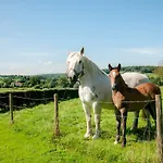 Hof Kleeberg Hotel Mechelen