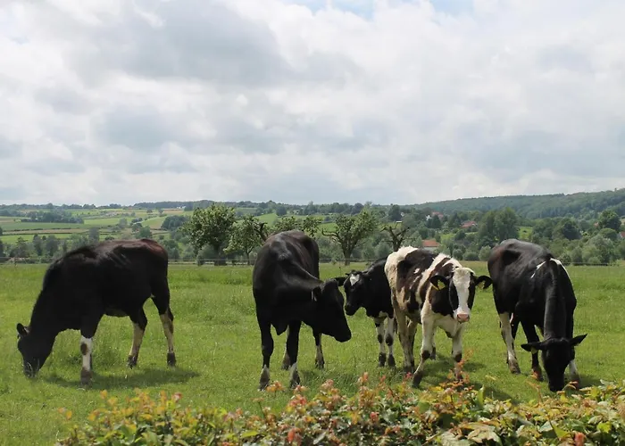 ホテル Hof Kleeberg